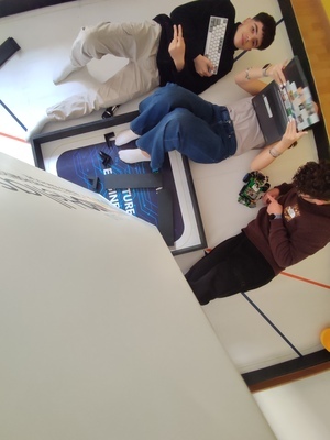 IMG_20250417_135915_crop